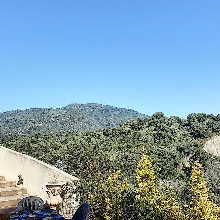 Grand Appartement Spacieux A 5 Min Du Centre Ville Ajaccio (Corsica) Exterior photo